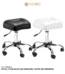 Facial Chair White Black